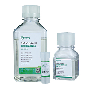 重組胰蛋白酶,重組胰酶,胰蛋白酶,胰酶