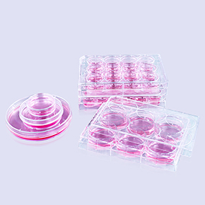 多聚-D-賴氨酸包被表面產(chǎn)品,多聚-D-賴氨酸包被,Coating,poly-D-lysine,PDL