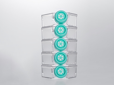 0.22μm疏水濾膜蓋，通氣阻水，高效阻菌；