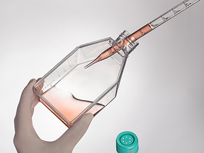 斜頸設(shè)計，易于傾倒，方便移 液管和細胞刮刀的進出