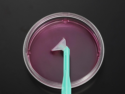 可自由旋轉(zhuǎn)刀片，能刮取各個角落，收獲細(xì)胞