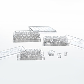 細(xì)胞嵌入皿,細(xì)胞小室,transwell,細(xì)胞遷移