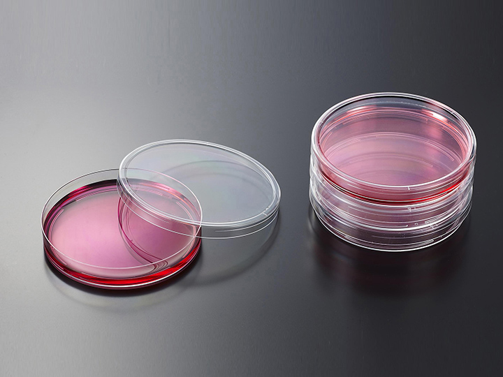 內(nèi)頁720×540 拷貝1.jpg