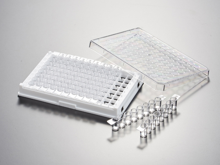 內頁720×540 拷貝.jpg