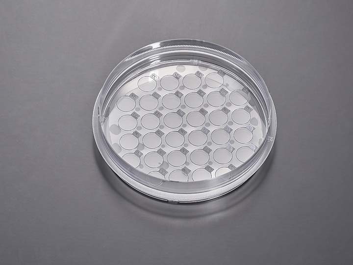 內頁720×540 拷貝.jpg