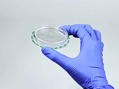 皿底抬高與邊緣持握設(shè)計， 方便握取與操作，穩(wěn)定疊放不易倒