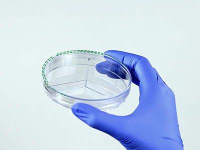 皿蓋邊緣突起設(shè)計，有利于培養(yǎng)皿穩(wěn)定疊放